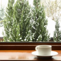 cup on the window